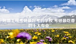 环境工程考研最好考的学校 考研最吃香的十大专业