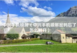 中兴手机锁屏（中兴手机锁屏密码忘了怎么解开）