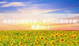 高性价比游戏手机（高性价比游戏手机推荐2024）