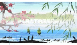 mp3（月光下的凤尾竹mp3）