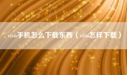 vivo手机怎么下载东西（vivo怎样下载）