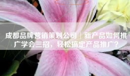 成都品牌营销策划公司│新产品如何推广学会三招，轻松搞定产品推广？