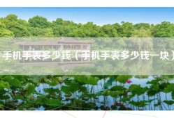 手机手表多少钱（手机手表多少钱一块）