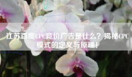 江苏百度CPC竞价广告是什么？揭秘CPC模式的定义与原理！