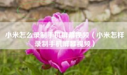 小米怎么录制手机屏幕视频（小米怎样录制手机屏幕视频）