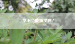 学不会能重学吗？