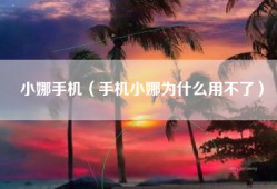 小娜手机（手机小娜为什么用不了）