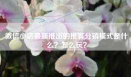 微信小店最新推出的推客分销模式是什么？怎么玩？