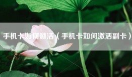 手机卡如何激活（手机卡如何激活副卡）