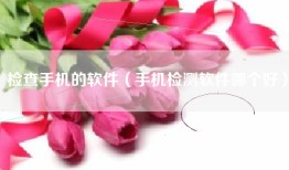 检查手机的软件（手机检测软件哪个好）