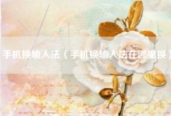 手机换输入法（手机换输入法在哪里换）