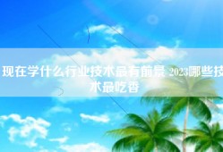 现在学什么行业技术最有前景 2023哪些技术最吃香