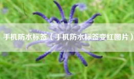 手机防水标签（手机防水标签变红图片）