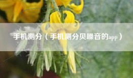 手机测分（手机测分贝噪音的app）