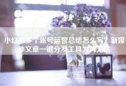 小红书多个账号运营总结怎么写？新媒体文章一键分发工具为何无法