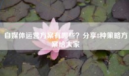 自媒体运营方案有哪些？分享8种策略方案给大家