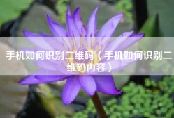 手机如何识别二维码（手机如何识别二维码内容）