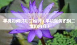手机如何识别二维码（手机如何识别二维码内容）