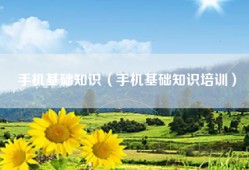 手机基础知识（手机基础知识培训）