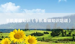 手机基础知识（手机基础知识培训）