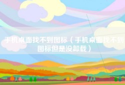 手机桌面找不到图标（手机桌面找不到图标但是没卸载）