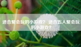 适合聚会玩的小游戏？ 适合五人聚会玩的小游戏？