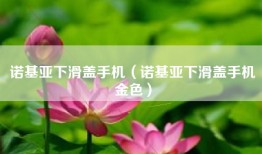 诺基亚下滑盖手机（诺基亚下滑盖手机金色）