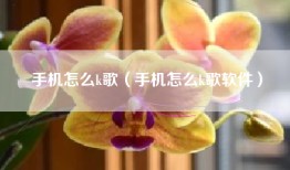 手机怎么k歌（手机怎么k歌软件）