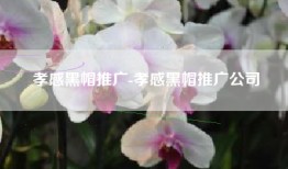 孝感黑帽推广-孝感黑帽推广公司