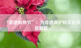 “非遗购物节”：为非遗保护和文化扶贫赋能