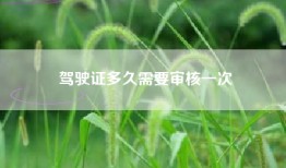 驾驶证多久需要审核一次