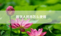 数字人民币怎么使用