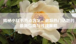 揭秘小红书热点含义，追踪热门话题的最新指南与寻找策略