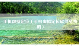 手机虚拟定位（手机虚拟定位软件免费的）