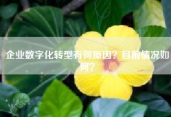 企业数字化转型有何原因？目前情况如何？