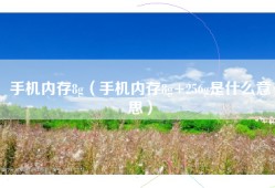 手机内存8g（手机内存8g+256g是什么意思）