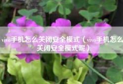 vivo手机怎么关闭安全模式（vivo手机怎么关闭安全模式呢）