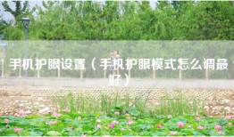 手机护眼设置（手机护眼模式怎么调最好）