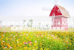 自媒体写文案是怎么赚钱的：从入门到精通赚钱技巧与写作奥秘解析