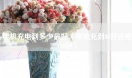 手机充电到多少最好（电池充到80好还是100好）