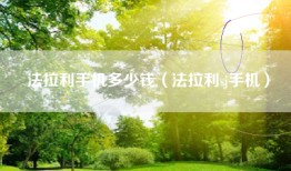 法拉利手机多少钱（法拉利sj手机）