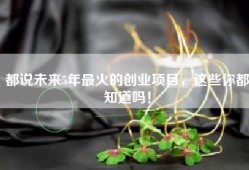 都说未来5年最火的创业项目，这些你都知道吗！