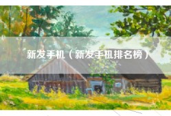 新发手机（新发手机排名榜）