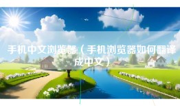 手机中文浏览器（手机浏览器如何翻译成中文）