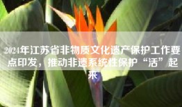 2024年江苏省非物质文化遗产保护工作要点印发，推动非遗系统性保护“活”起来