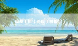 琦基手机（琦琪手机报价）