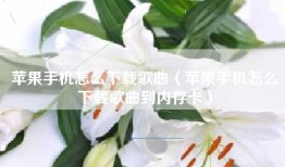 苹果手机怎么下载歌曲（苹果手机怎么下载歌曲到内存卡）