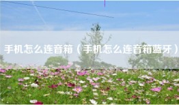 手机怎么连音箱（手机怎么连音箱蓝牙）