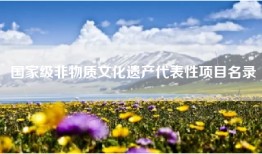 国家级非物质文化遗产代表性项目名录
