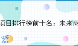 2024创业项目排行榜前十名：未来商业的风口